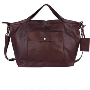 Beautiful brown latico colin eguc